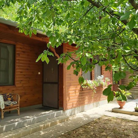 Appartement Melinda Nyaralohaz à Balatonkenese Extérieur photo